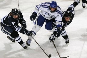 开云电竞-纽卡斯尔中锋背身支点作用明显，纽卡斯尔主客场球衣